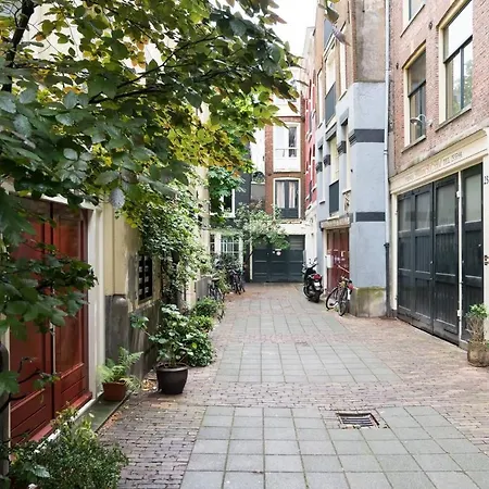 Daisy Amsterdam
